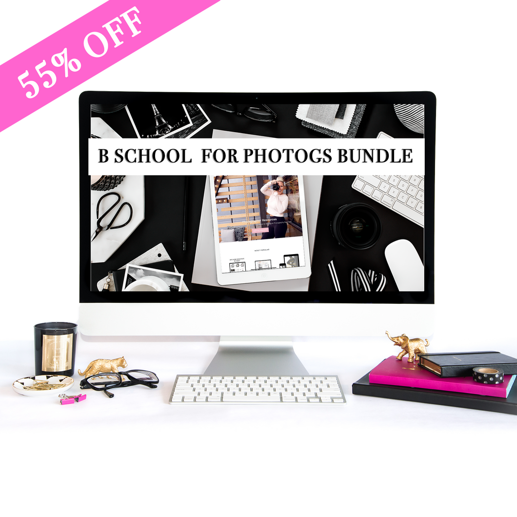 Business School Bundle For Photogs (55% OFF)
